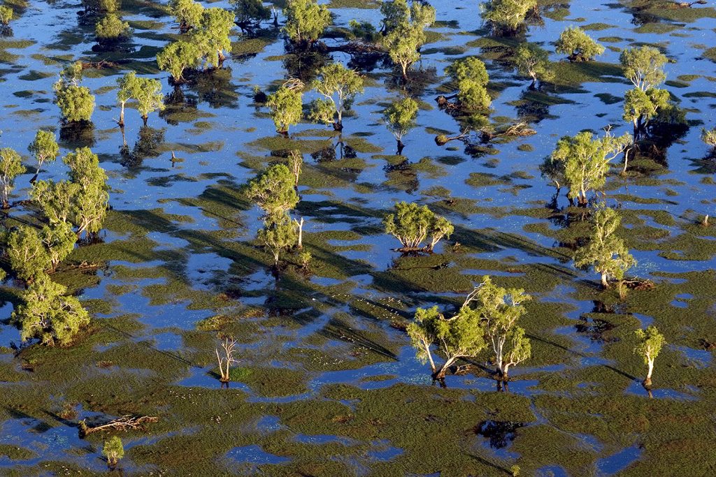 Revive Our Wetland Photography Competition And Why Wetlands Are