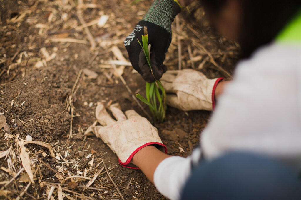 CVA has developed Corporate Partnerships for almost 40 years to deliver environmental action