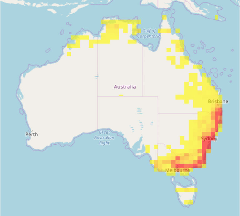 Resource Sugar Gliders Introductory Guide Conservation Volunteers