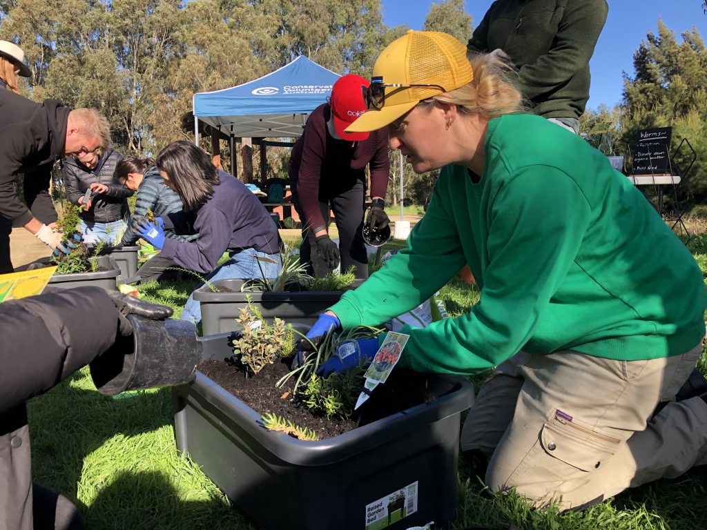 Woman creating a Nature Block, planting in a container.