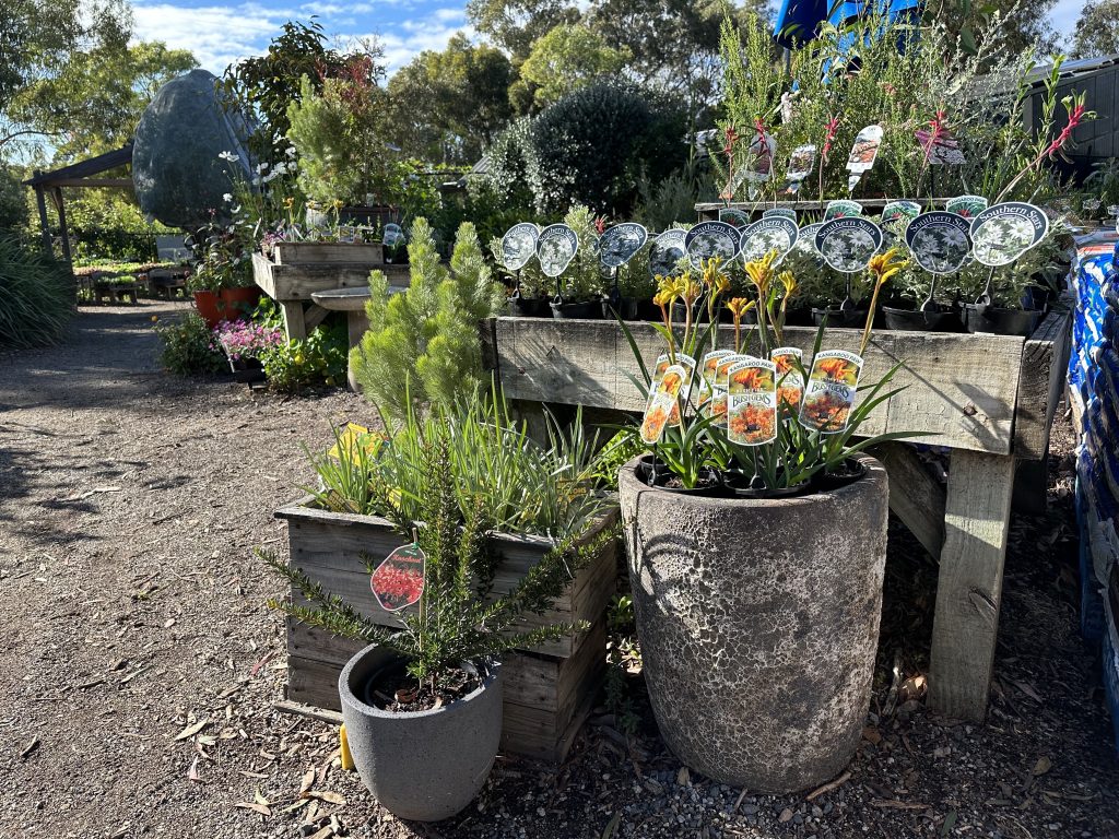A garden area with plants in pots.